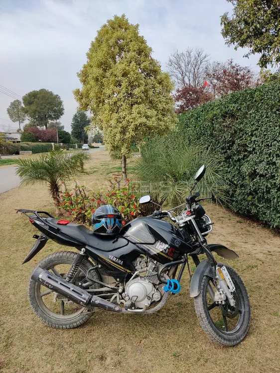 Yamaha YBR 125G 2021 for Sale Image-1