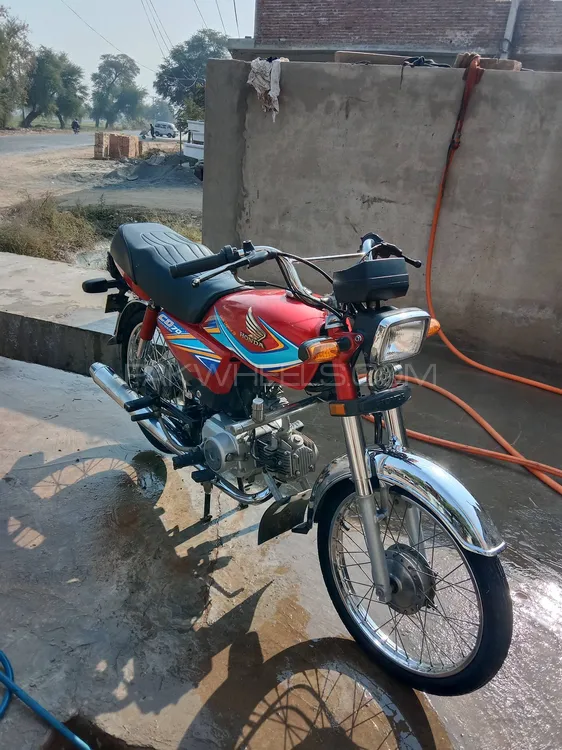 Honda CD 70 2019 for Sale Image-1