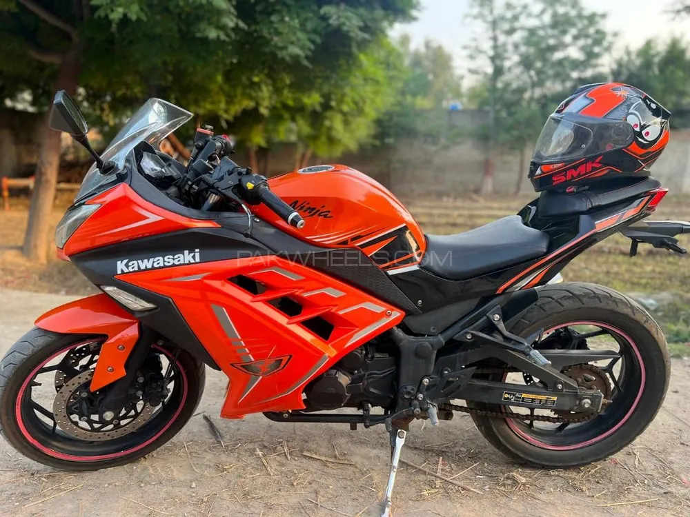 Kawasaki BALIUS ZR250 2018 for Sale Image-1