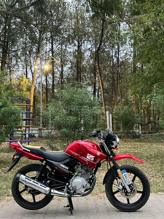 Yamaha YBR 125 2022 for Sale Image-1