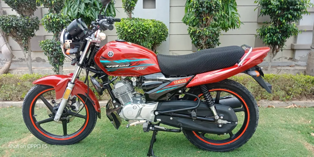 Yamaha YB 125Z-DX 2023 for Sale Image-1