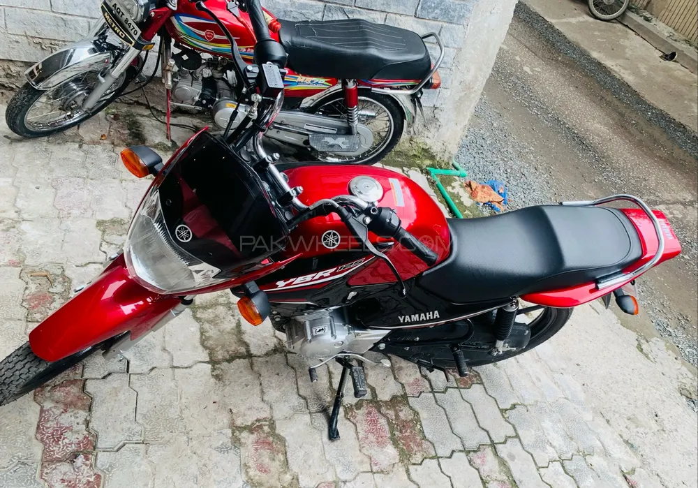 Yamaha YBR 125 2023 for Sale Image-1