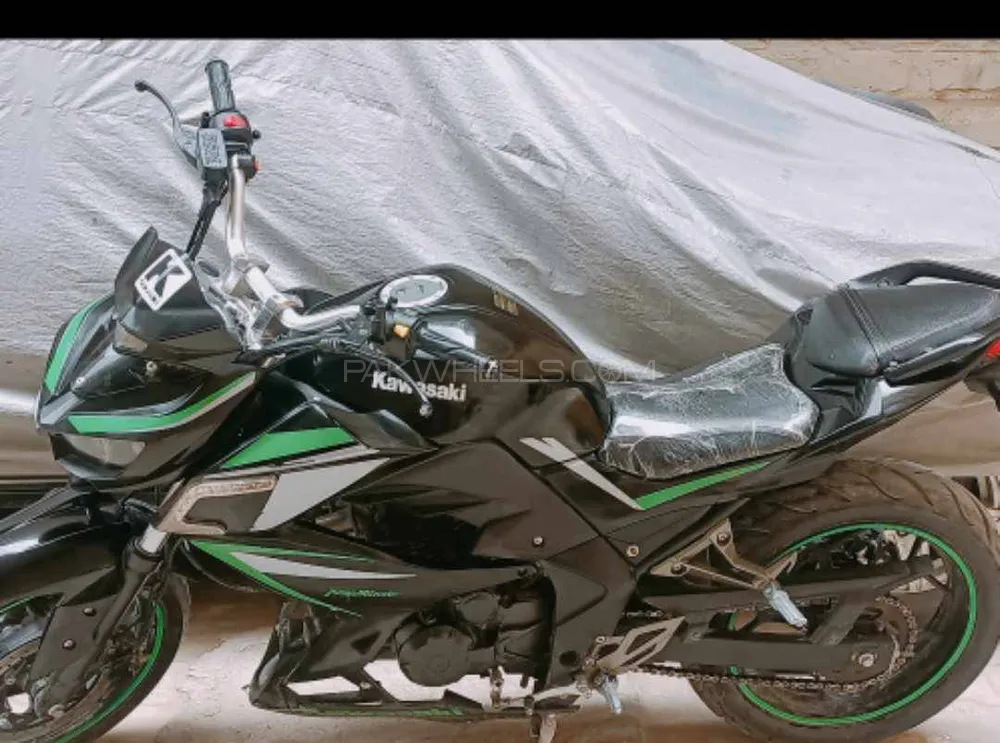 Kawasaki KLX250SF 2017 for Sale Image-1