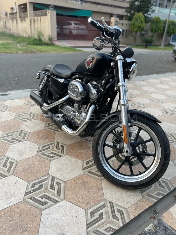 Harley Davidson 883 Low 2011 for Sale Image-1