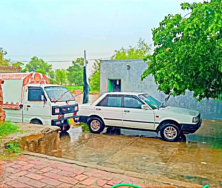 Nissan Sunny 1989 for Sale in Pindi gheb Image-1