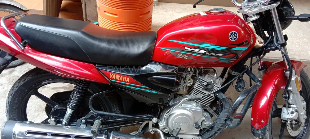 Yamaha YBR 125 2023 for Sale Image-1