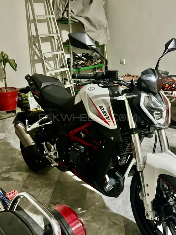 بنیلی 251s 2022 for Sale Image-1