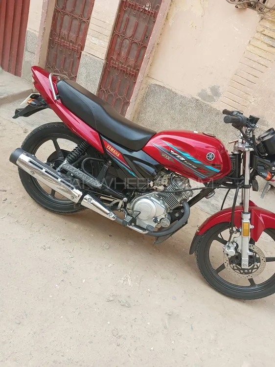 Yamaha YB 125Z-DX 2022 for Sale Image-1
