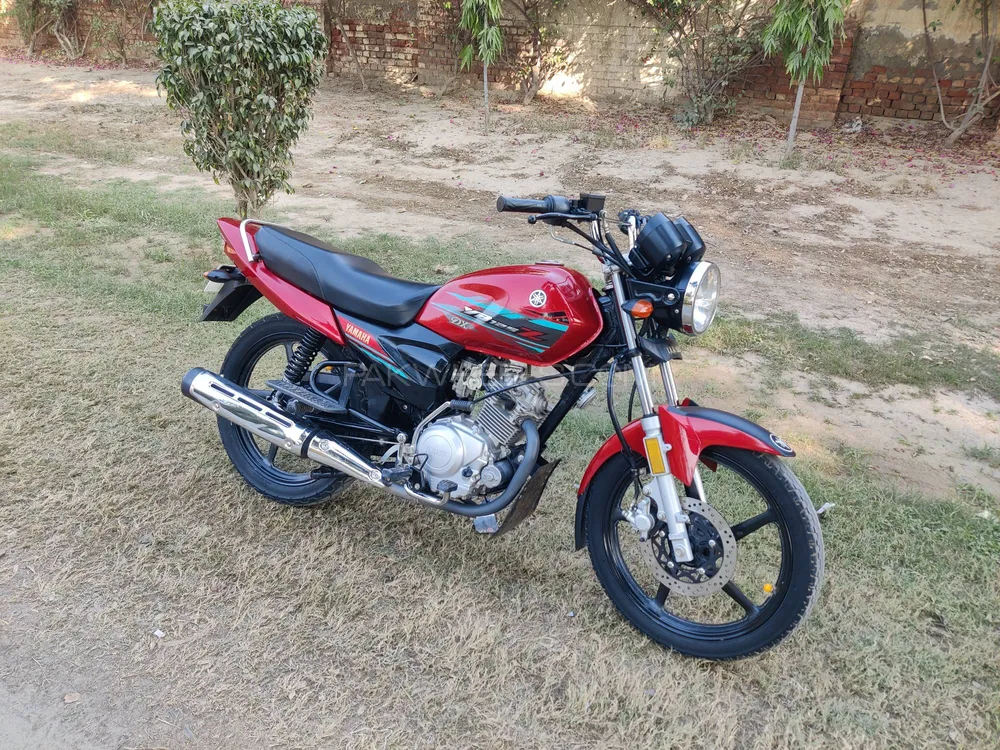 Yamaha YB 125Z-DX 2022 for Sale Image-1
