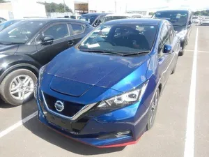 Nissan Leaf SL Plus 2020 for Sale