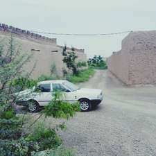 نسان سنی - 1987