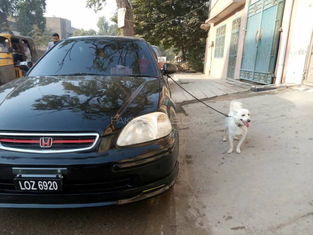 Honda Civic - 1996  Honda Civic - 1996  Image-2