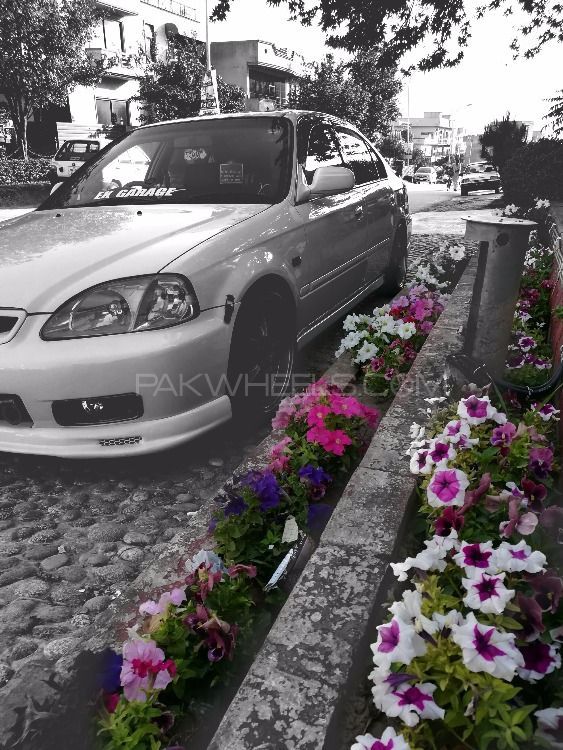 Honda Civic - 1999  Honda Civic - 1999  Image-4