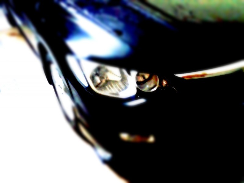 Honda Civic - 2011 black bird ??? Image-1