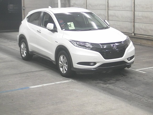  Image-1