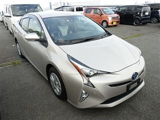  Image-1