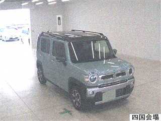  Image-1