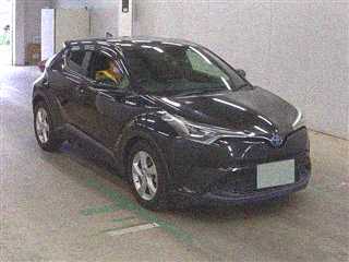  Image-1