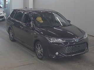  Image-1
