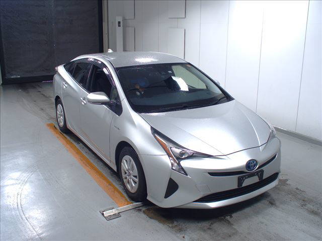  Image-1