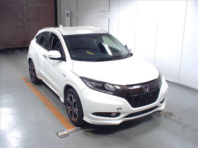  Image-1