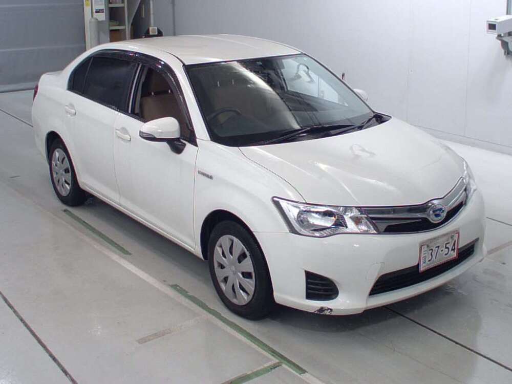  Image-1