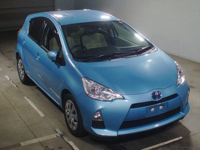  Image-1