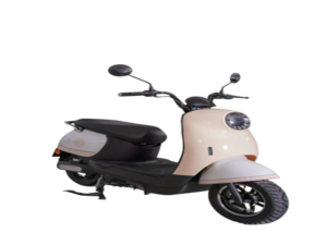 New Zhongfa EV ZF G-1