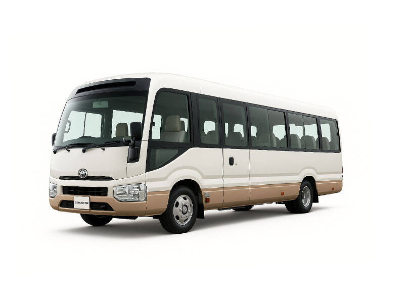 White Beige_#F5F5DC